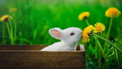 重回波士顿欧文拥抱老队友，“我们都是战友”